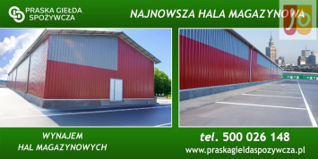 Hala/Magazyn na wynajem