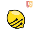 Lemon Pro: profesjonalne usługi IT dla firm