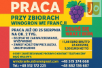 WINOBRANIE FRANCJA